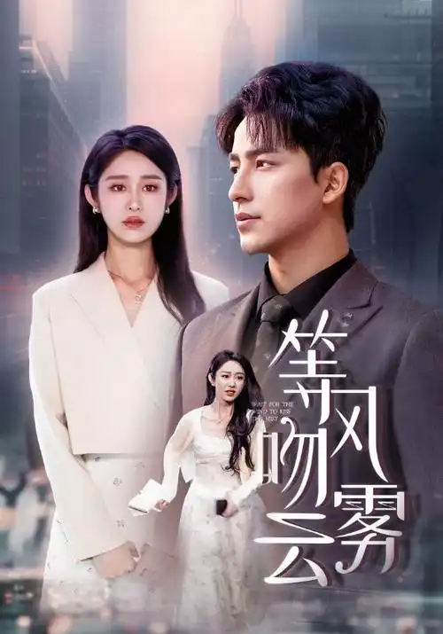 沉默的证词 律政悬疑剧全集在线播放